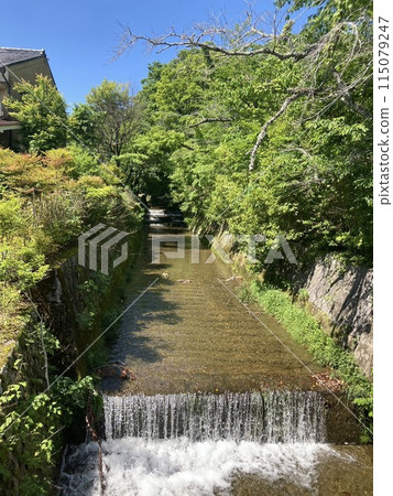 被新綠環繞的鈴蟲寺參道 被新綠環繞的鈴蟲寺參道 115079247