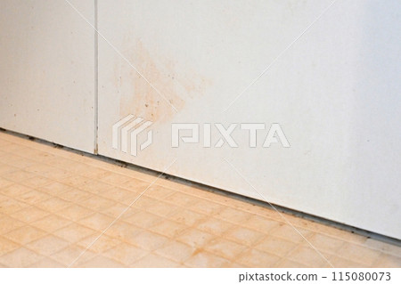 Stains on the bathroom walls 115080073