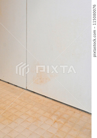 Stains on the bathroom walls 115080076