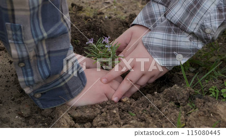 Boy planting a new tree, concept Save the Earth, save the world, save planet, ecology concept.photo 115080445