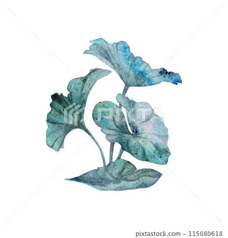 Watercolor and ink hand drawn marine life, sea ocean underwater creatures. fish, shells algae seaweed. Single object illustration, stylized, isolated on white. Zoo shop, aquarium, cosmetics, resort Watercolor and ink hand drawn marine life, sea ocean underwater creatures. fish, shells algae seaweed. Single object illustration, stylized, isolated on white. Zoo shop, aquarium, cosmetics, resort 115080618