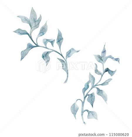 Watercolor and ink hand drawn marine life, sea ocean underwater creatures. fish, shells algae seaweed. Single object illustration, stylized, isolated on white. Zoo shop, aquarium, cosmetics, resort Watercolor and ink hand drawn marine life, sea ocean underwater creatures. fish, shells algae seaweed. Single object illustration, stylized, isolated on white. Zoo shop, aquarium, cosmetics, resort 115080620