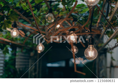 vintage light bulb hanging from grape tree for decoration outdoor garden. vintage light bulb hanging from grape tree for decoration outdoor garden. 115080631