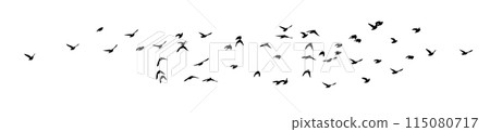 Flying birds silhouette flock. Not AI, Free birds abstraction . Horizontal background. Vector illustration 115080717