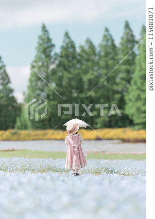Nemophila and a girl Nemophila and a girl 115081071