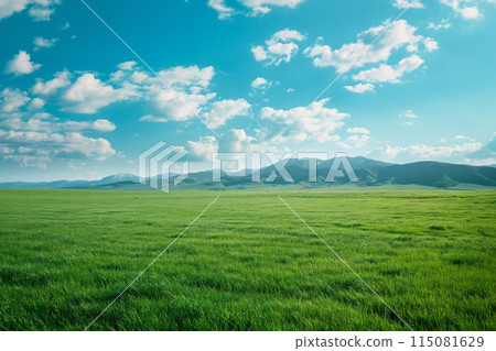 Summer alpine grassland with blue sky and white clouds background Summer alpine grassland with blue sky and white clouds background 115081629