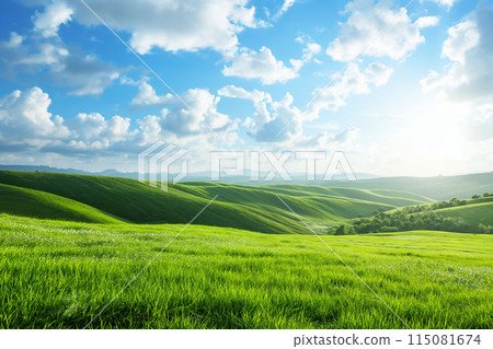 夏季高山草原與藍天白雲背景 115081674