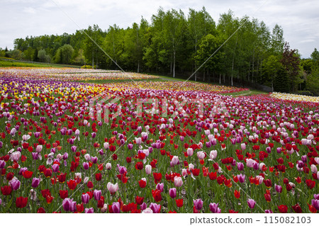 Takino Hills Suzuran Performance 115082103