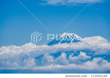 (Shizuoka Prefecture) A sea of clouds overlooking Mount Fuji as seen from the Darumayama Plateau in early summer (Shizuoka Prefecture) A sea of clouds overlooking Mount Fuji as seen from the Darumayama Plateau in early summer 115082240