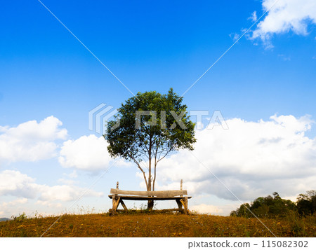 Wooden bench seat and lone tree on Mountain hills 115082302