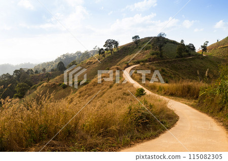 Rural road on grass hills under blue sky in evening 115082305