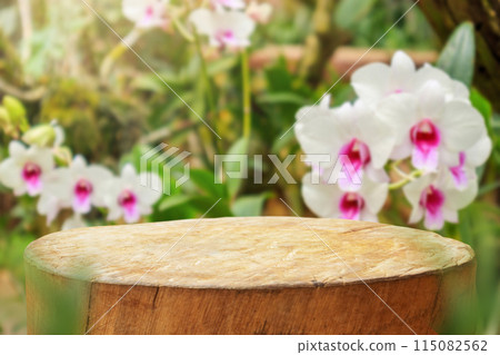 Empty old tree stump table top with blur orchid garden background for product display 115082562