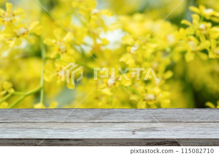 Empty wood table top with blur orchid garden background for product display 115082710