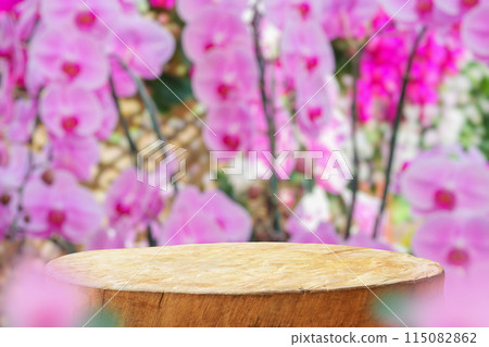 Empty old tree stump table top with blur orchid garden background for product display Empty old tree stump table top with blur orchid garden background for product display 115082862