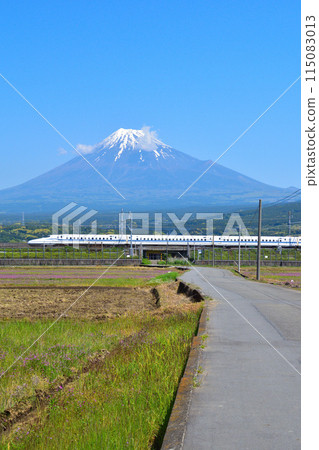 Spring Mt. Fuji Shinkansen 115083013