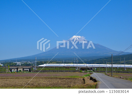 Spring Mt. Fuji Shinkansen Spring Mt. Fuji Shinkansen 115083014