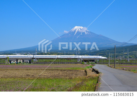 Spring Mt. Fuji Shinkansen Spring Mt. Fuji Shinkansen 115083015