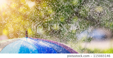 Closeup view of the colourful umbrella in rainy weather. Closeup view of the colourful umbrella in rainy weather. 115083146