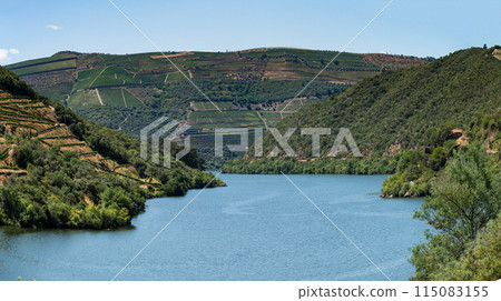 Point of view shot of terraced vineyards in Douro Valley 115083155