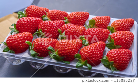 Ichigo Pack 115083257