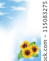Summer greeting card with sunflowers and sky (no text) 115083275