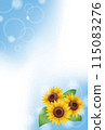 Sunflower summer greetings (no text) 115083276
