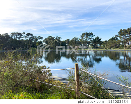 Bucaquinho Natural Park Bucaquinho Natural Park 115083384