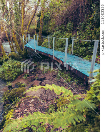 Walkway trilho dos Gaios 115083536