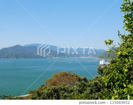The Seto Inland Sea and Yasuura as seen from Oshiba Island (Higashihiroshima City, Hiroshima Prefecture) 115083652