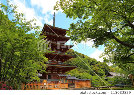 Hasedera Temple (Five-story Pagoda) [8th of the 33 Kannon Temples in the Western Region] / Hatsuse, Sakurai City, Nara Prefecture 115083829