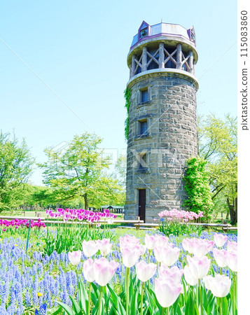 北海道百合原公園筒倉和郁金香田景觀 115083860