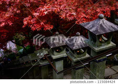 小山紅葉 紅葉迴廊 小山紅葉 紅葉迴廊 115084424