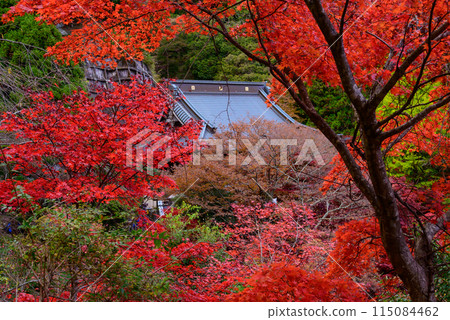 Daisenji Temple surrounded by autumn leaves 115084462