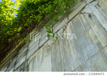 Cracks on the retaining wall Cracks on the retaining wall 115084471