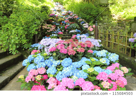 Hasedera Temple (Hydrangea Corridor) [8th of the 33 Kannon Temples in the Western Region] / Hatsuse, Sakurai City, Nara Prefecture 115084503