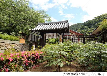 長谷寺（總寶藏）【西國三十三觀音聖地第8號】/奈良縣櫻井市初瀨 115084612