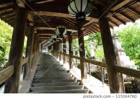 長谷寺（畫廊）【西國三十三觀音聖地第8號】/奈良縣櫻井市初瀨 115084760