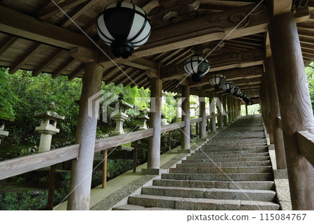 長谷寺（畫廊）【西國三十三觀音聖地第8號】/奈良縣櫻井市初瀨 115084767