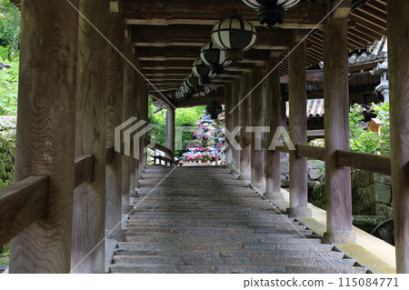 長谷寺（畫廊）【西國三十三觀音聖地第8號】/奈良縣櫻井市初瀨 115084771