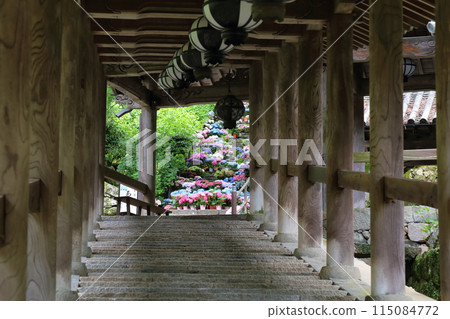 長谷寺（畫廊）【西國三十三觀音聖地第8號】/奈良縣櫻井市初瀨 115084772