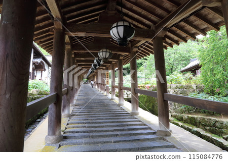 長谷寺(畫廊)【西國三十三觀音聖地第8號】/奈良縣櫻井市初瀨 長谷寺(畫廊)【西國三十三觀音聖地第8號】/奈良縣櫻井市初瀨 115084776