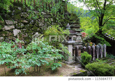長谷寺（畫廊）【西國三十三觀音聖地第8號】/奈良縣櫻井市初瀨 115084777