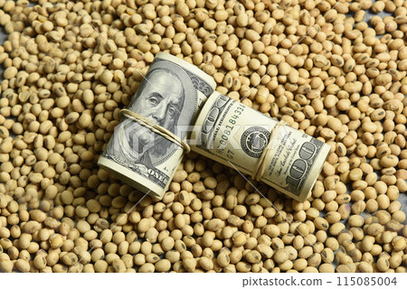 Dollars banknotes and coins and soy beans,oleaginous commoditi value concept. 115085004