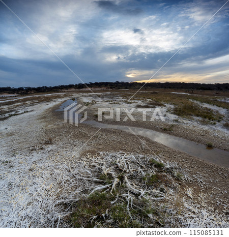Saltpeter on the floor of a lagoon in a semi desert environment, La Pampa province, Patagonia, Argentina. 115085131