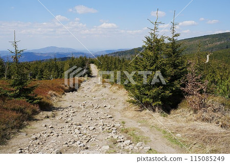 Route in Silesian Beskids near Szczyrk town in Poland Route in Silesian Beskids near Szczyrk town in Poland 115085249