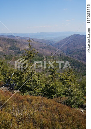 Scenic Silesian Beskids near Szczyrk town in Poland - vertical 115085256