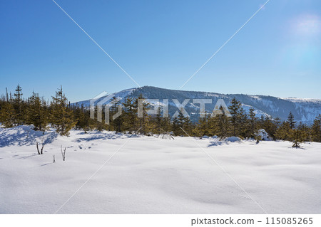 Snowy field and Barania Gora at Silesian Beskid on Bialy Krzyz in Poland Snowy field and Barania Gora at Silesian Beskid on Bialy Krzyz in Poland 115085265