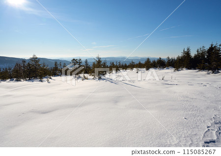 Snowy land at Silesian Beskid near Bialy Krzyz pass in Poland 115085267