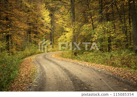 A bend on the dirt road in the autumn forest 115085354
