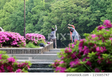 It's still cool in the spring when I do radio exercises every day. 115085747